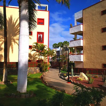Beautiful Palm-mar