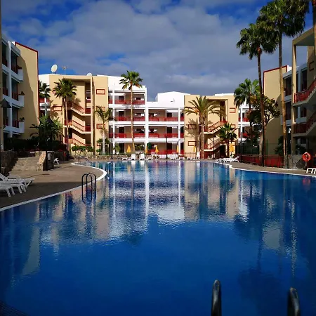 Beautiful * Palm-mar